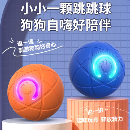 Interactive Cat Teaser Ball Toy | PetPal365