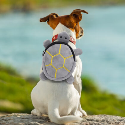 Small Dog Adjustable Backpack | PetPal365