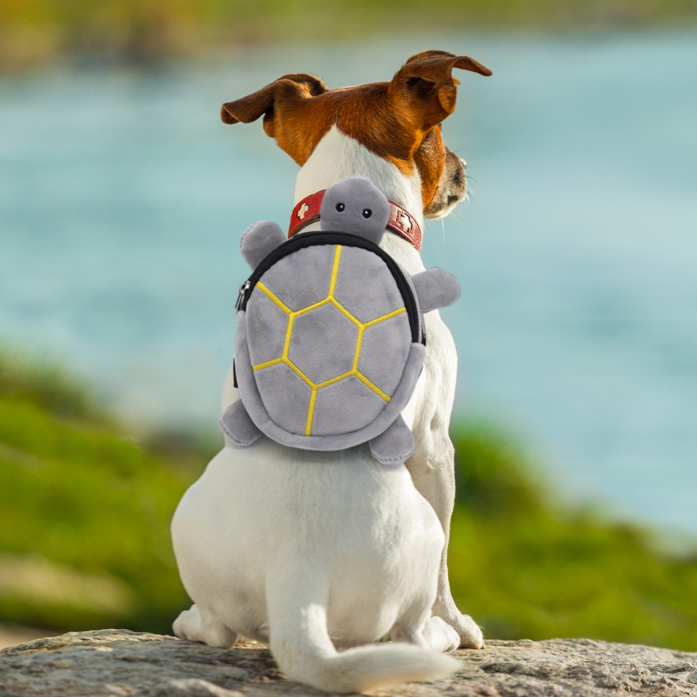 Small Dog Adjustable Backpack | PetPal365