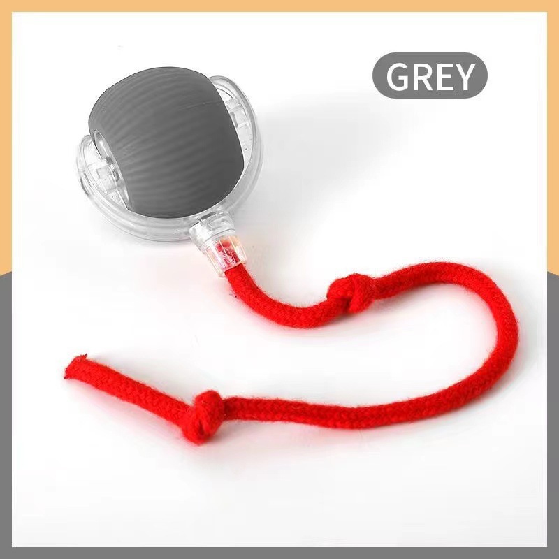 Interactive Cat Teaser Ball Toy | PetPal365