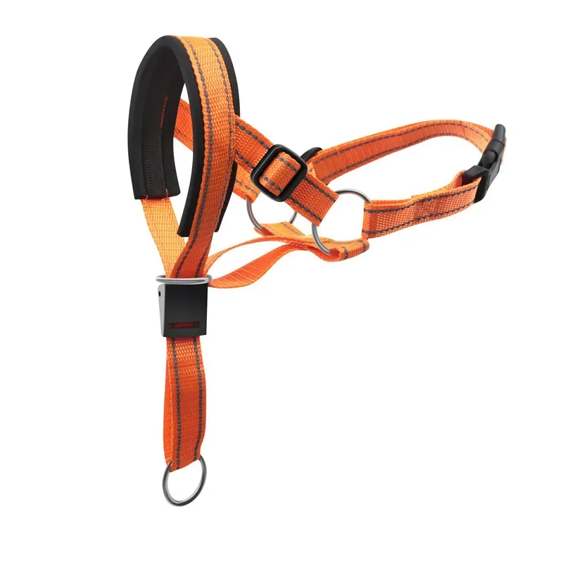 Dog Head Collar Training Halter | PetPal365