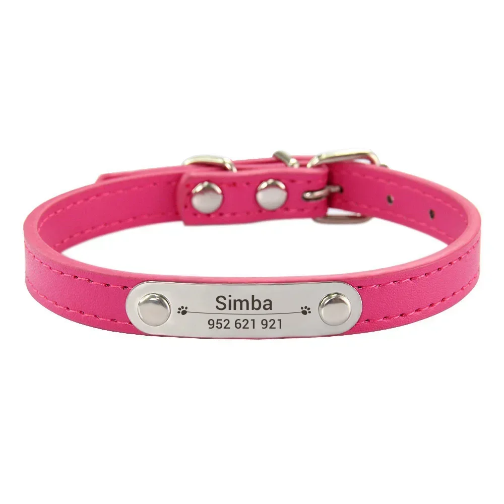 Personalized Dog Collar with Engraved ID Tag | PetPal365