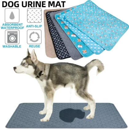 Dog Pee Pad Blanket Reusable Absorbent | PetPal365