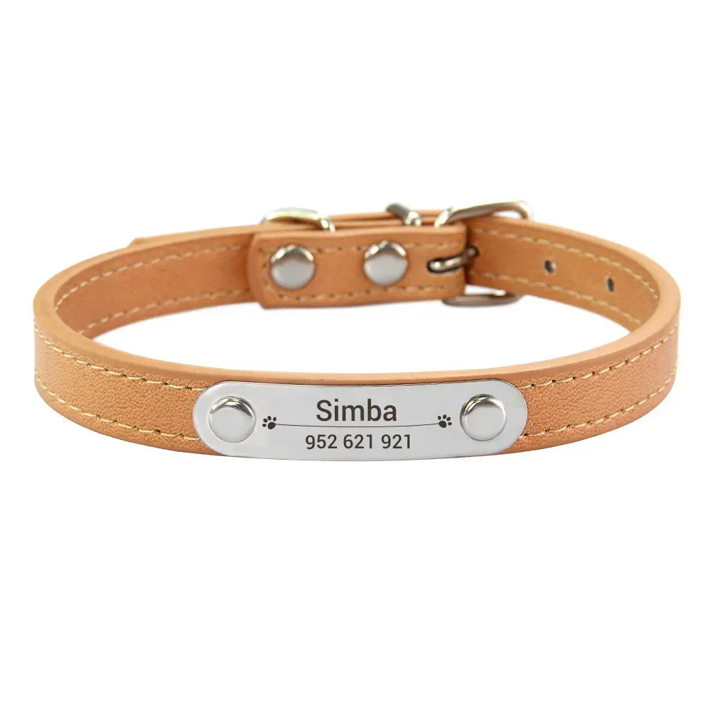 Personalized Dog Collar with Engraved ID Tag | PetPal365