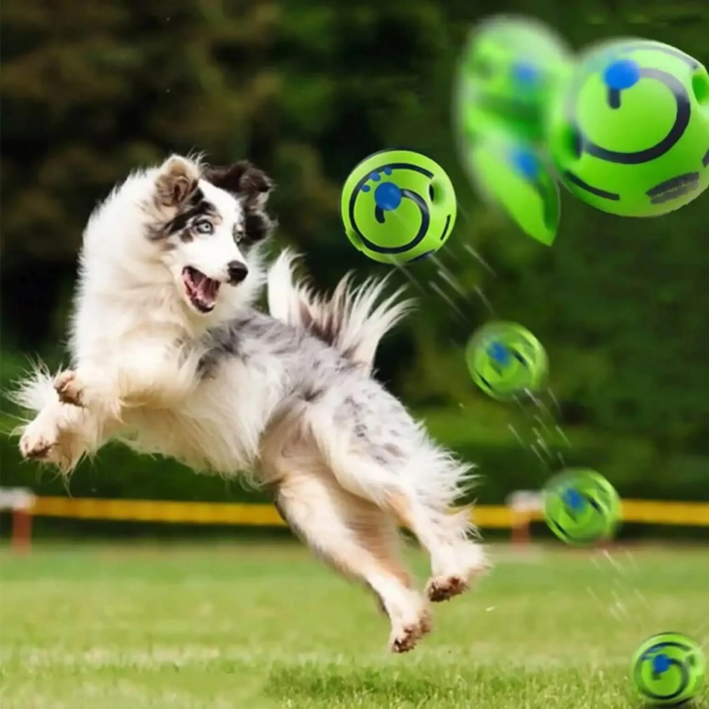 Funny Interactive Giggle Ball | PetPal365