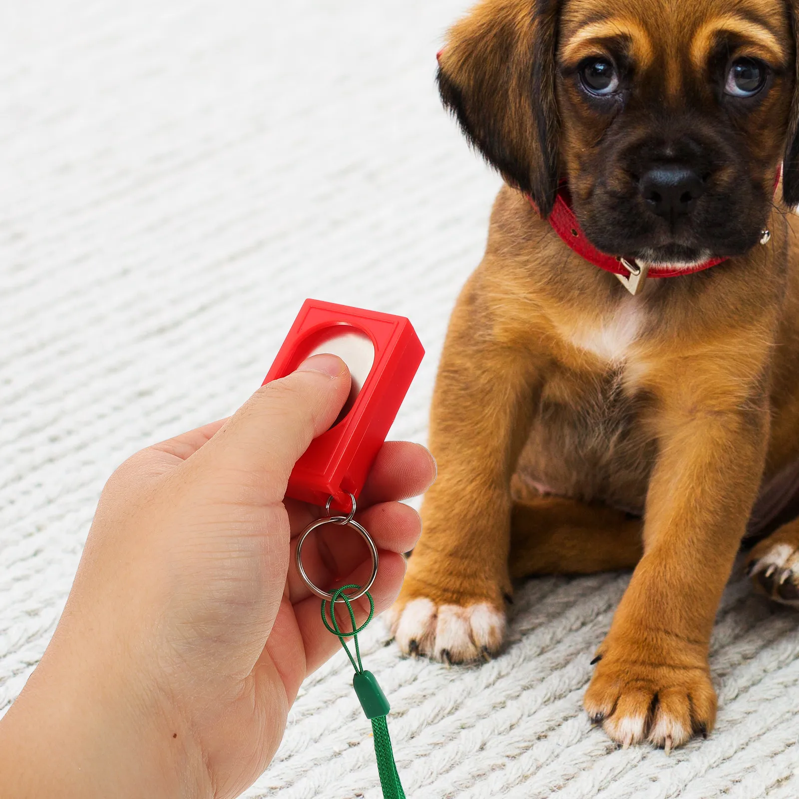 Pet Training Clickers (2 Pack) | PetPal365