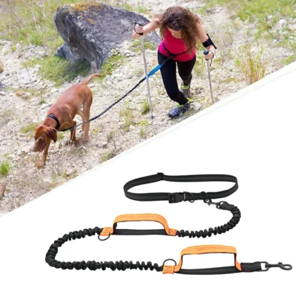 Hands-Free Retractable Dog Leash for Running | PetPal365
