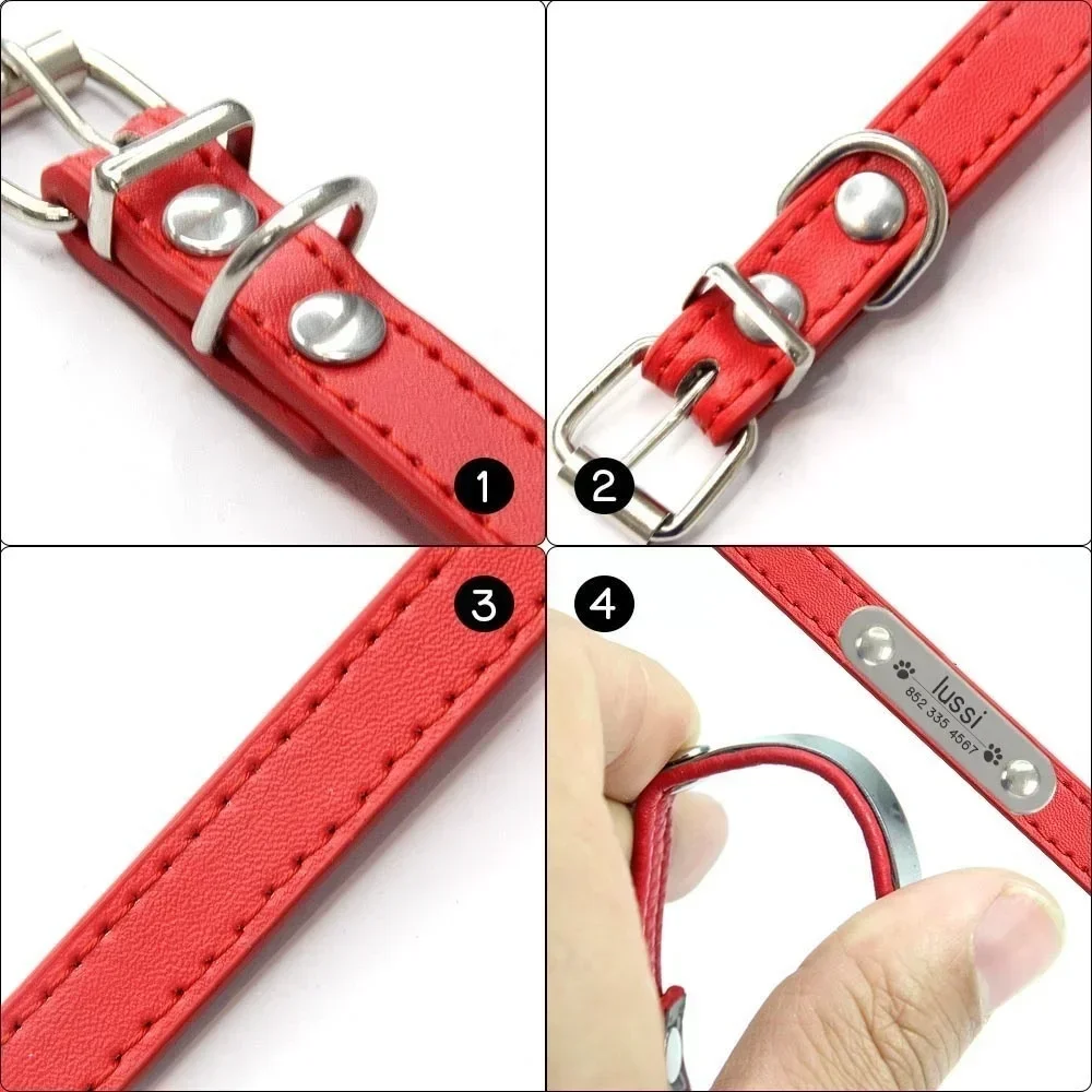 Personalized Dog Collar with Engraved ID Tag | PetPal365