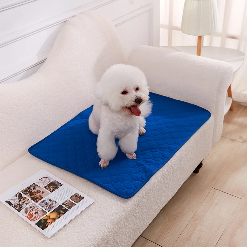 Dog Pee Pad Blanket Reusable Absorbent | PetPal365