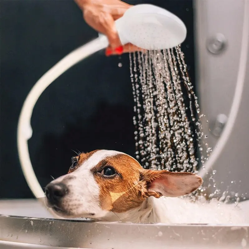 Multifunctional Pet Shower Sprayer | PetPal365