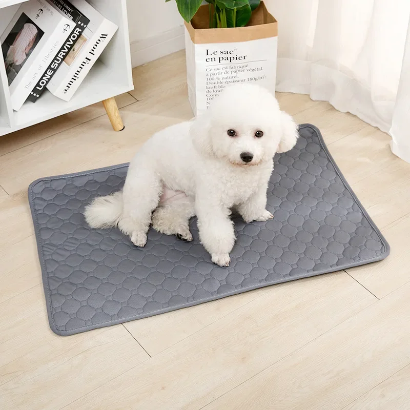 Dog Pee Pad Blanket Reusable Absorbent | PetPal365