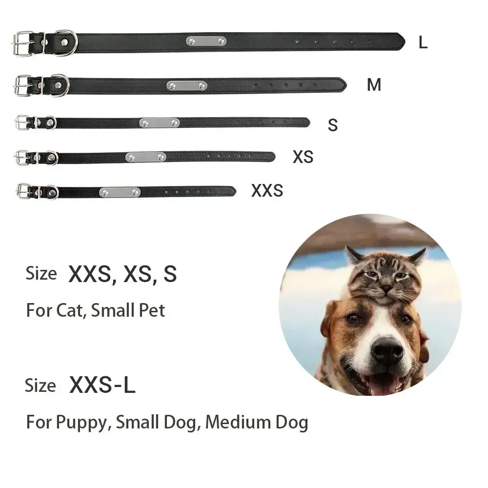 Personalized Dog Collar with Engraved ID Tag | PetPal365