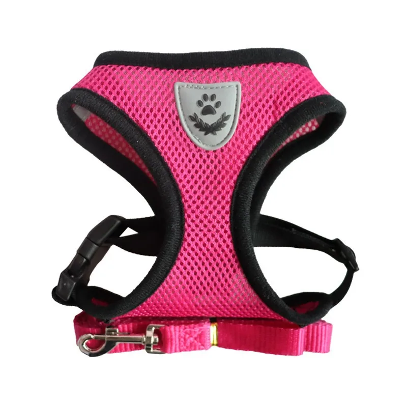Cat Leash and Harness Cat Tent | PetPal365