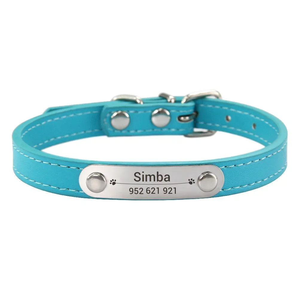 Personalized Dog Collar with Engraved ID Tag | PetPal365