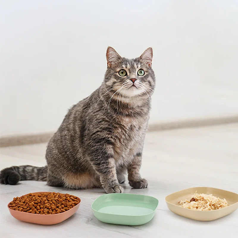 Non-Slip Cat Bowl Set (10-20 Pack) | PetPal365