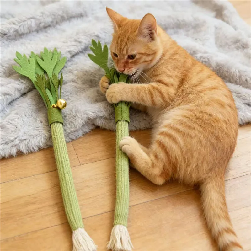 Cat Chew Toys Catnip Cat Teeth | PetPal365