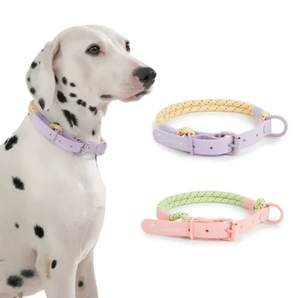 Cute Candy Style Nylon Pet Collar | PetPal365