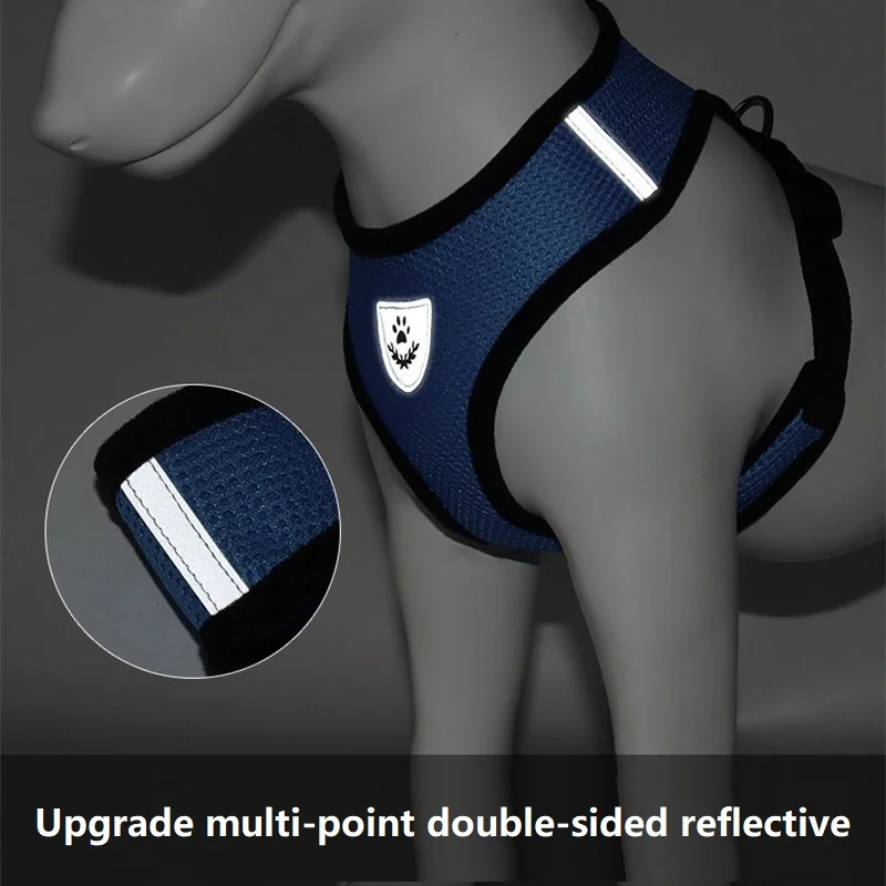 Cat Leash and Harness Cat Tent | PetPal365