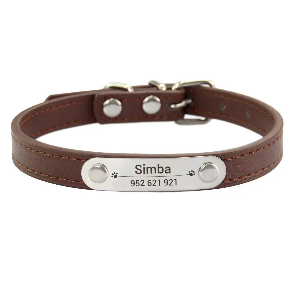 Personalized Dog Collar with Engraved ID Tag | PetPal365