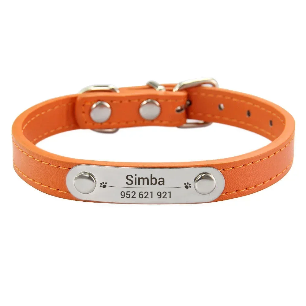 Personalized Dog Collar with Engraved ID Tag | PetPal365