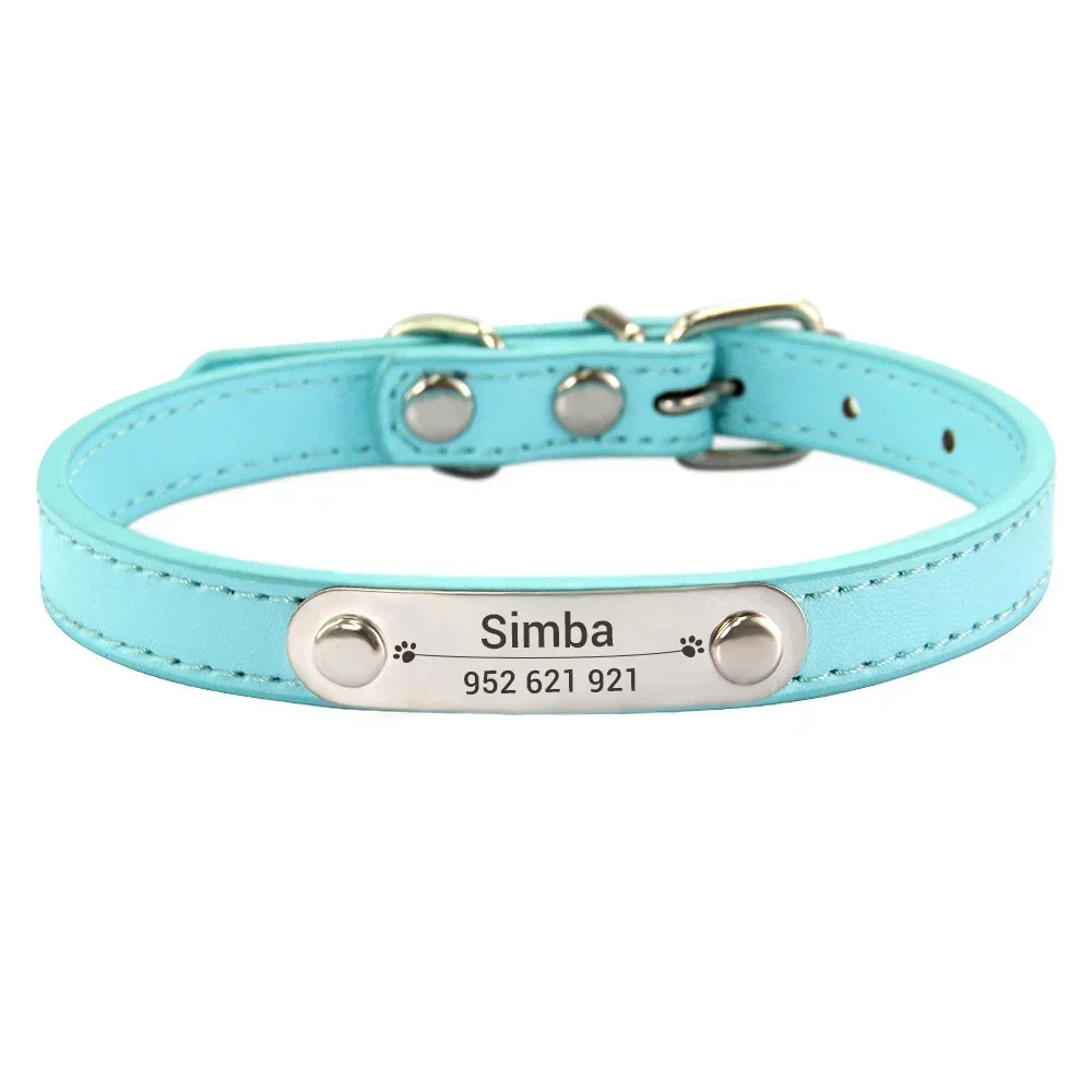 Personalized Dog Collar with Engraved ID Tag | PetPal365