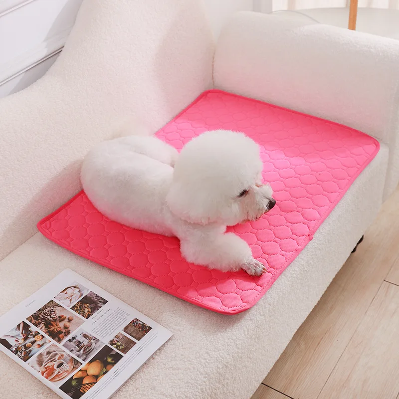 Dog Pee Pad Blanket Reusable Absorbent | PetPal365
