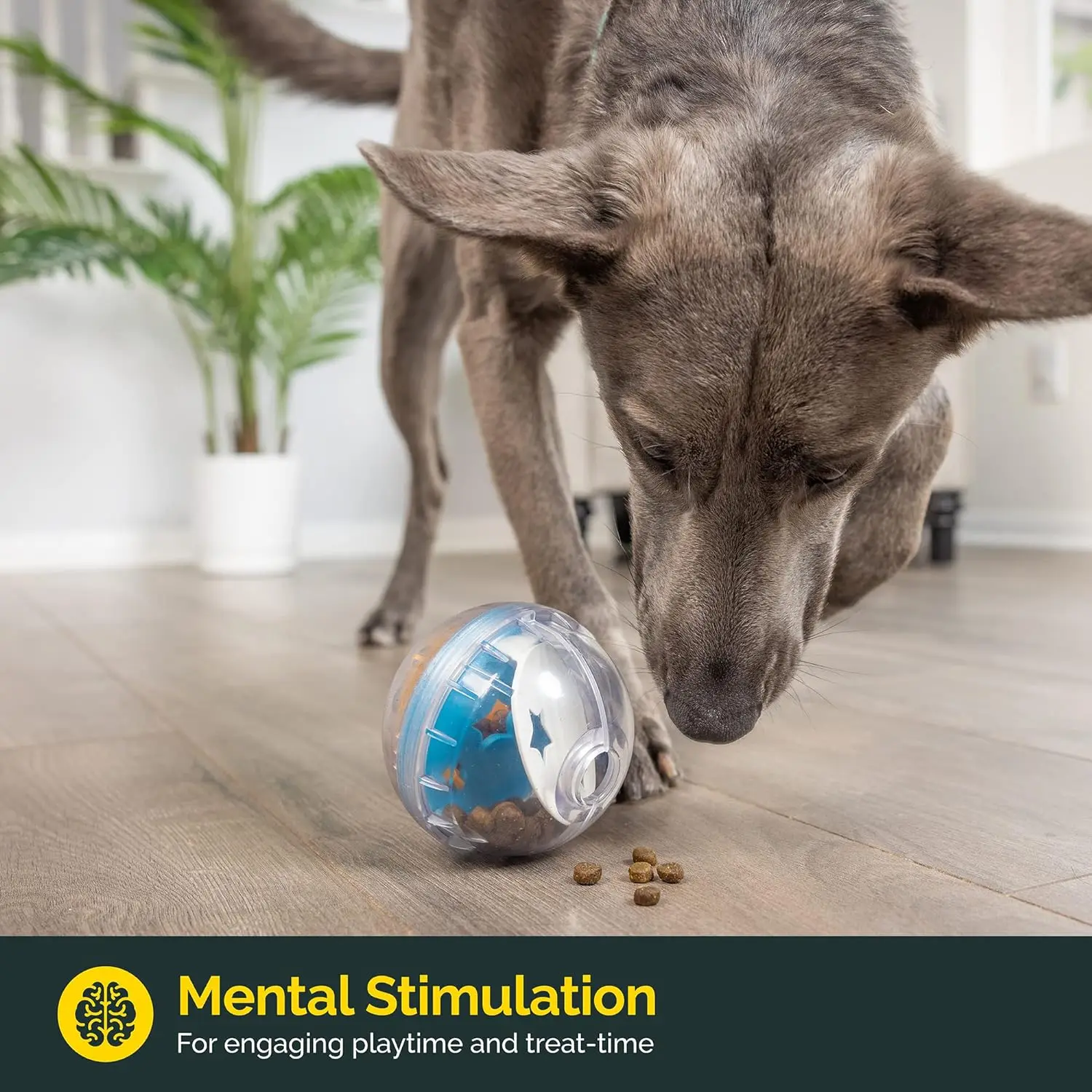 IQ Treat Ball Dog Treat Dispenser | PetPal365