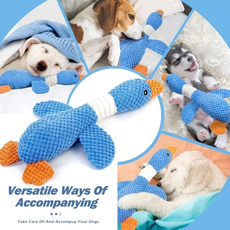 Chew Toy for Aggressive Chewers | PetPal365