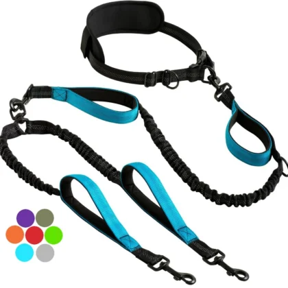 Hands-Free Double Dog Leash for 2 Dogs | PetPal365