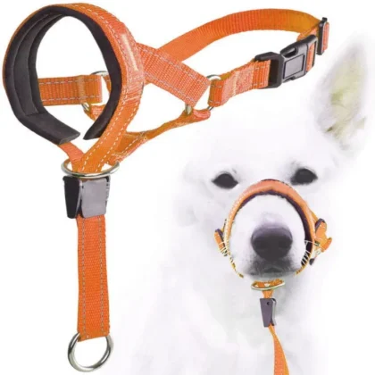 Dog Head Collar Training Halter | PetPal365