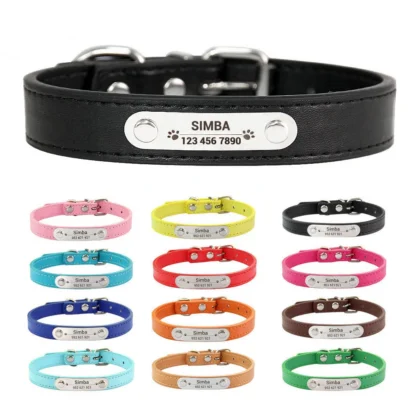Personalized Dog Collar with Engraved ID Tag | PetPal365