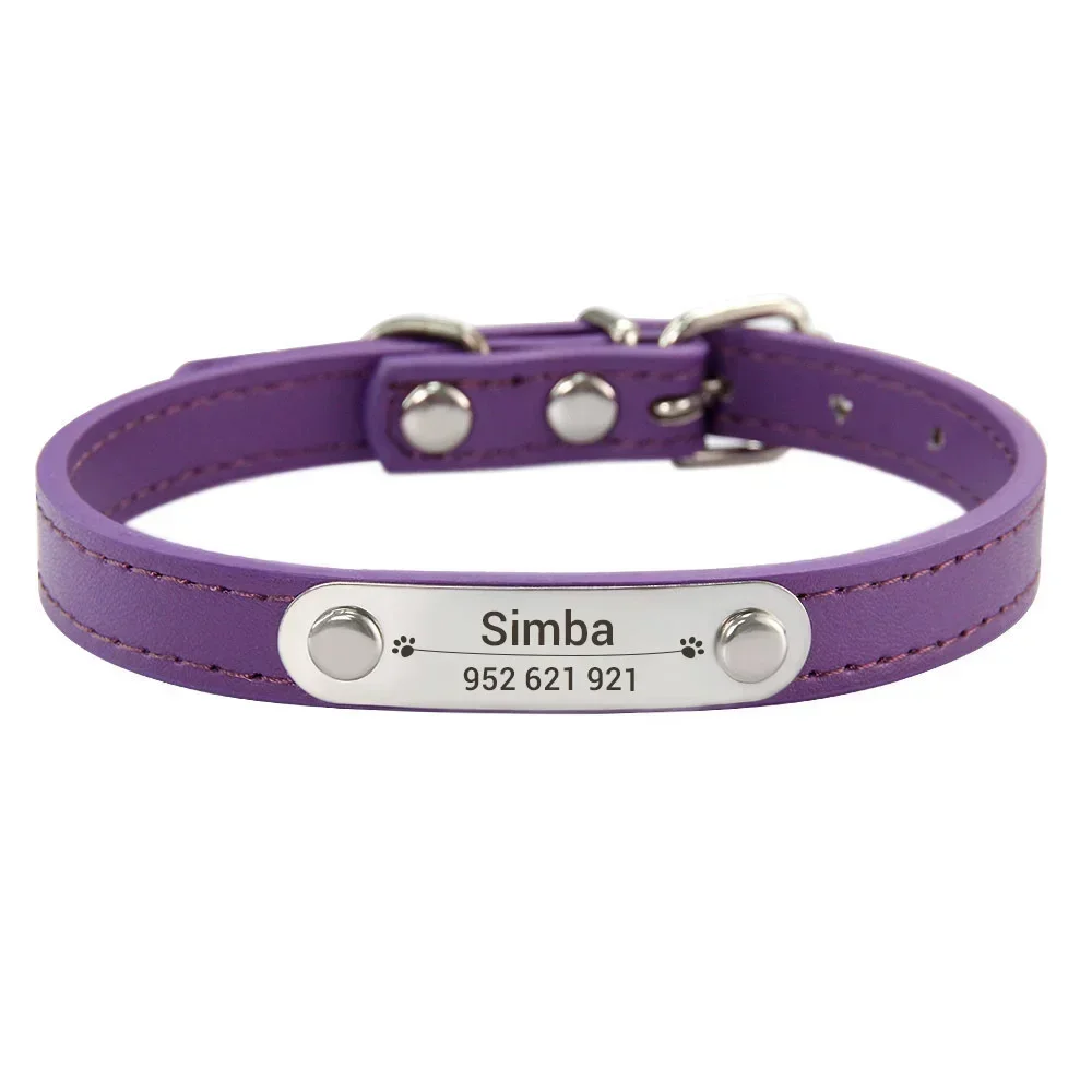 Personalized Dog Collar with Engraved ID Tag | PetPal365
