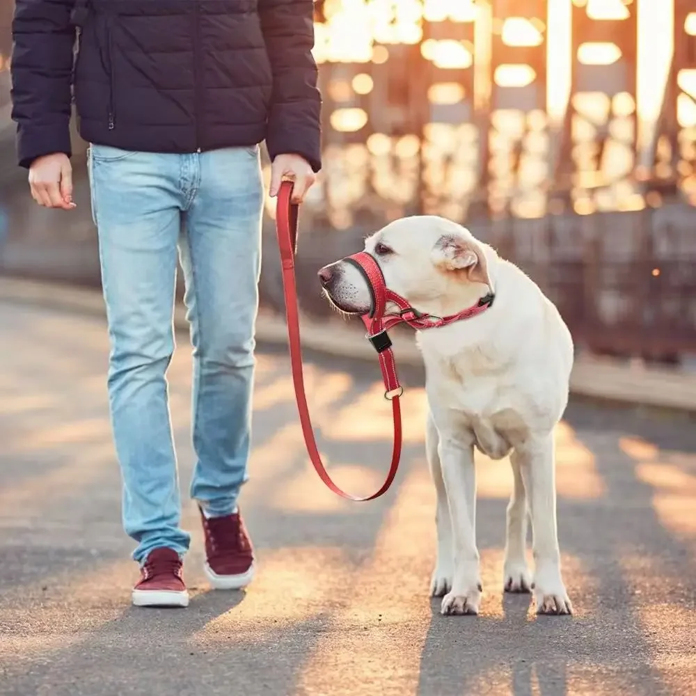 Dog Head Collar Training Halter | PetPal365