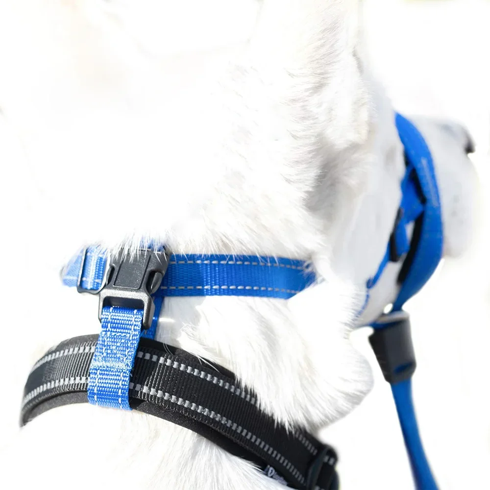 Dog Head Collar Training Halter | PetPal365