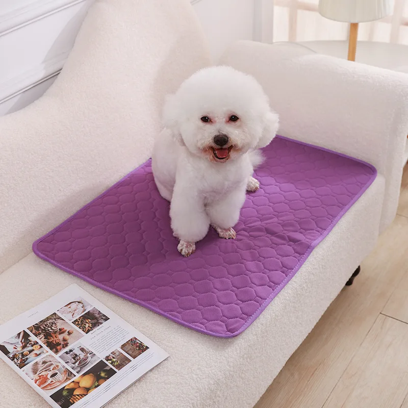 Dog Pee Pad Blanket Reusable Absorbent | PetPal365