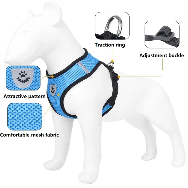 Cat Leash and Harness Cat Tent | PetPal365
