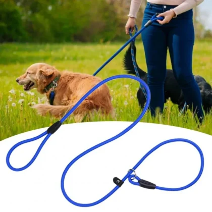 Dog Training Leash Anti-Pull Nylon | PetPal365
