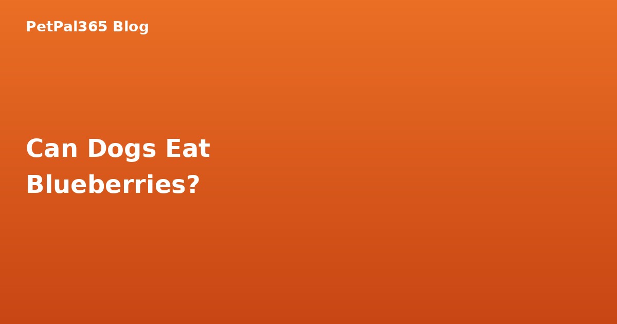 Can Dogs Eat Blueberries? The Complete Guide for Pet Parents