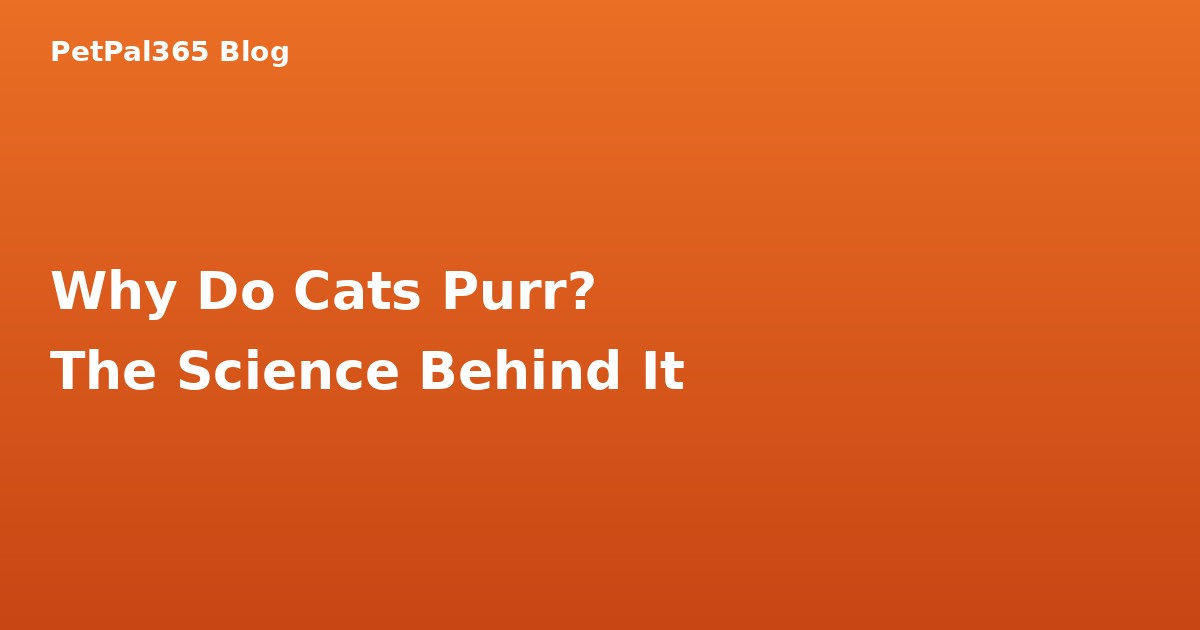 Why Do Cats Purr? The Science Behind Your Cats Rumble