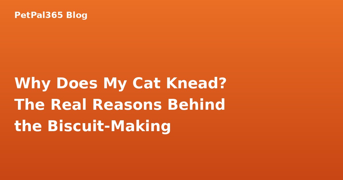 Why Does My Cat Knead? The Real Reasons Behind the Biscuit-Making