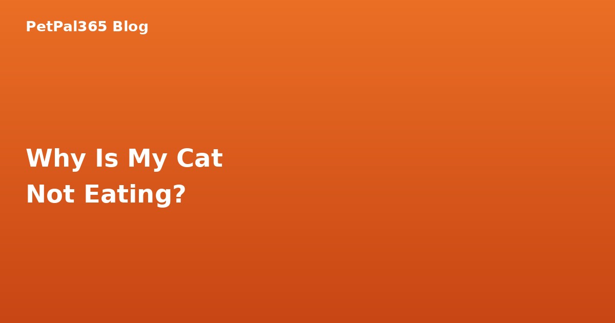 Why Is My Cat Not Eating? 9 Reasons and When to Worry