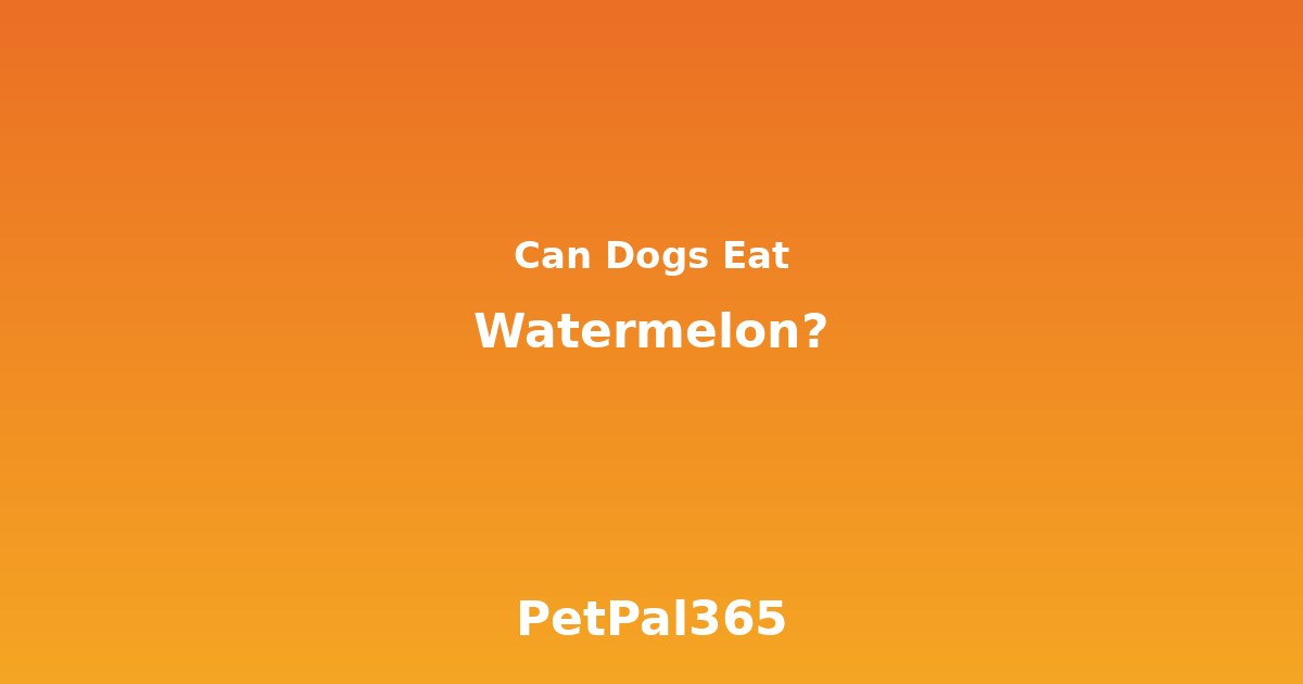 Can Dogs Eat Watermelon? The Complete Guide for Pet Parents
