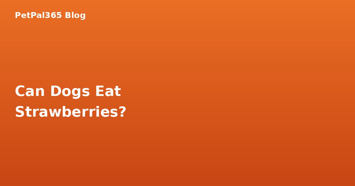 Can Dogs Eat Strawberries? The Complete Guide for Pet Parents
