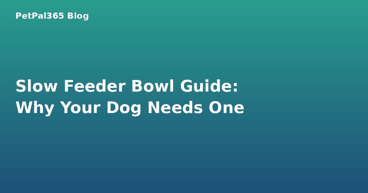 Slow Feeder Bowl Guide: Why Your Dog Needs One