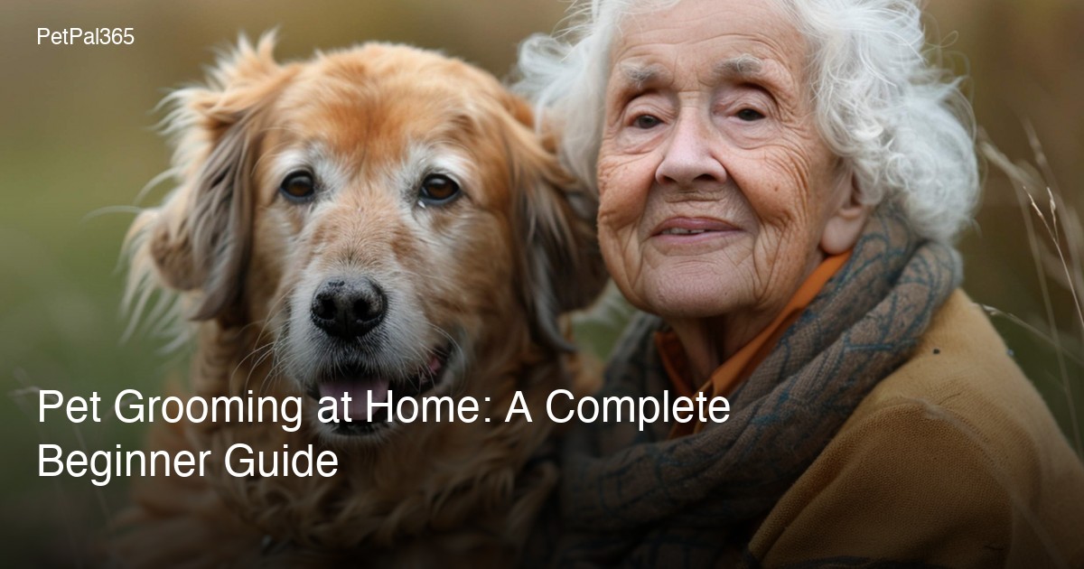 Pet Grooming at Home: A Complete Beginner Guide