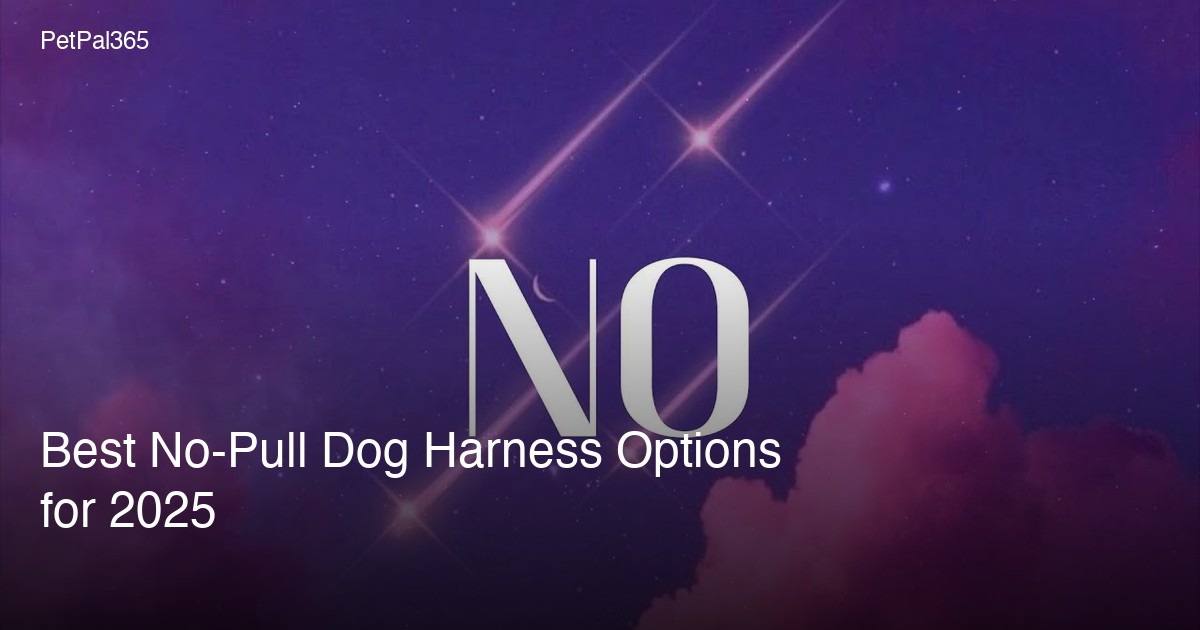 Best No-Pull Dog Harness Options for 2025