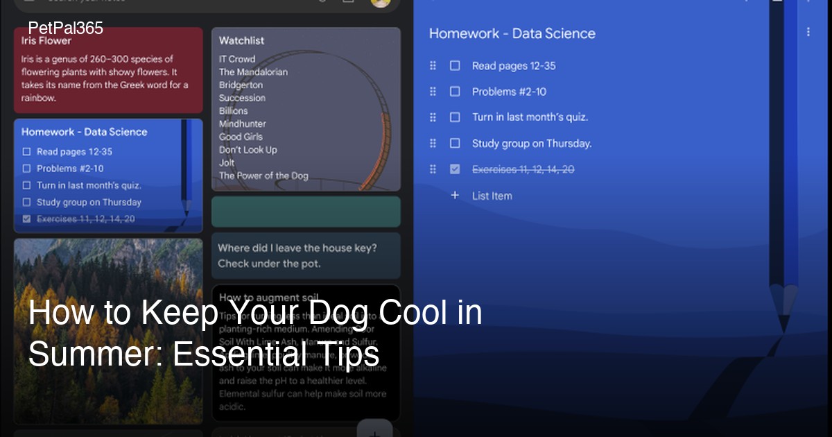 How to Keep Your Dog Cool in Summer: Essential Tips
