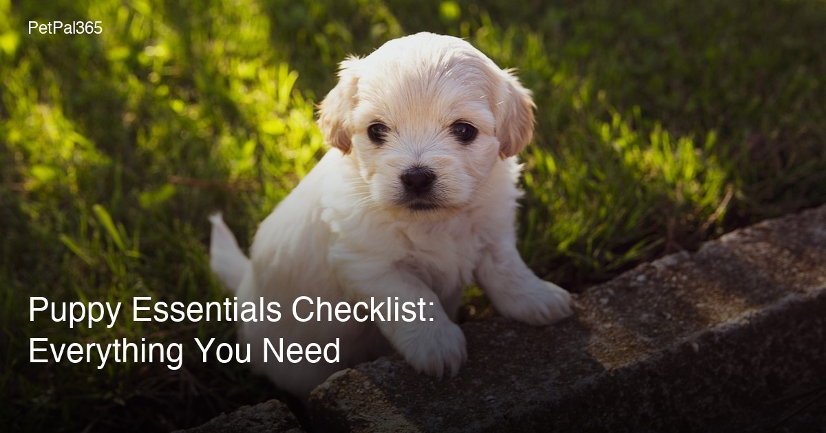 Puppy Essentials Checklist: Everything You Need