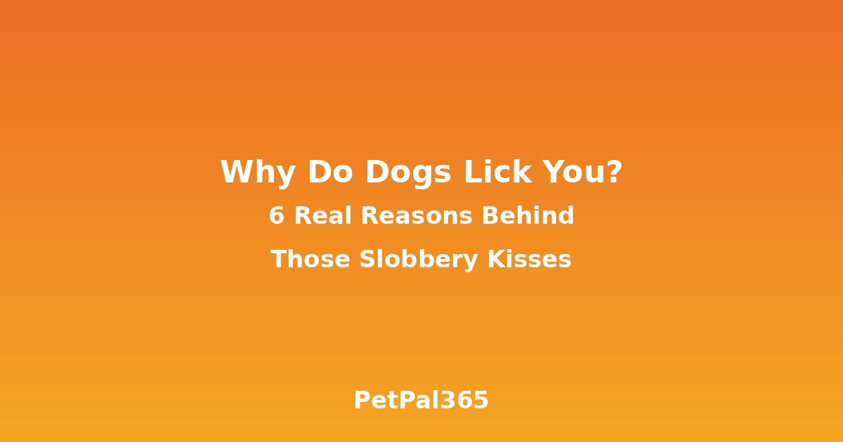 Why Do Dogs Lick You? 6 Real Reasons Behind Those Slobbery Kisses