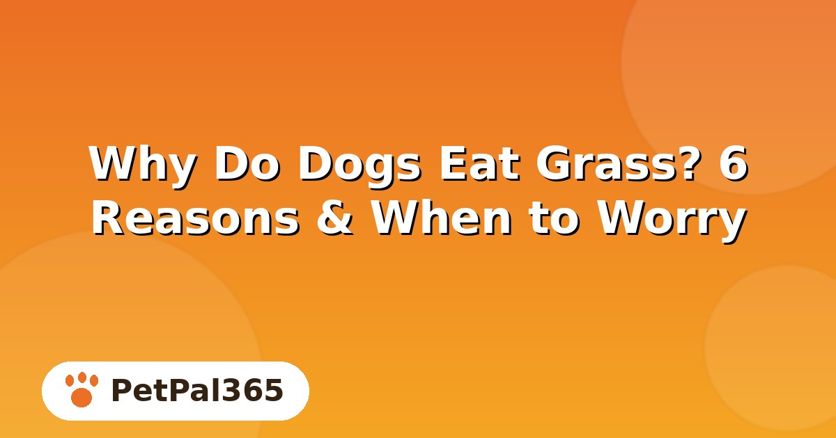 Why Do Dogs Eat Grass? 6 Real Reasons & When to Worry